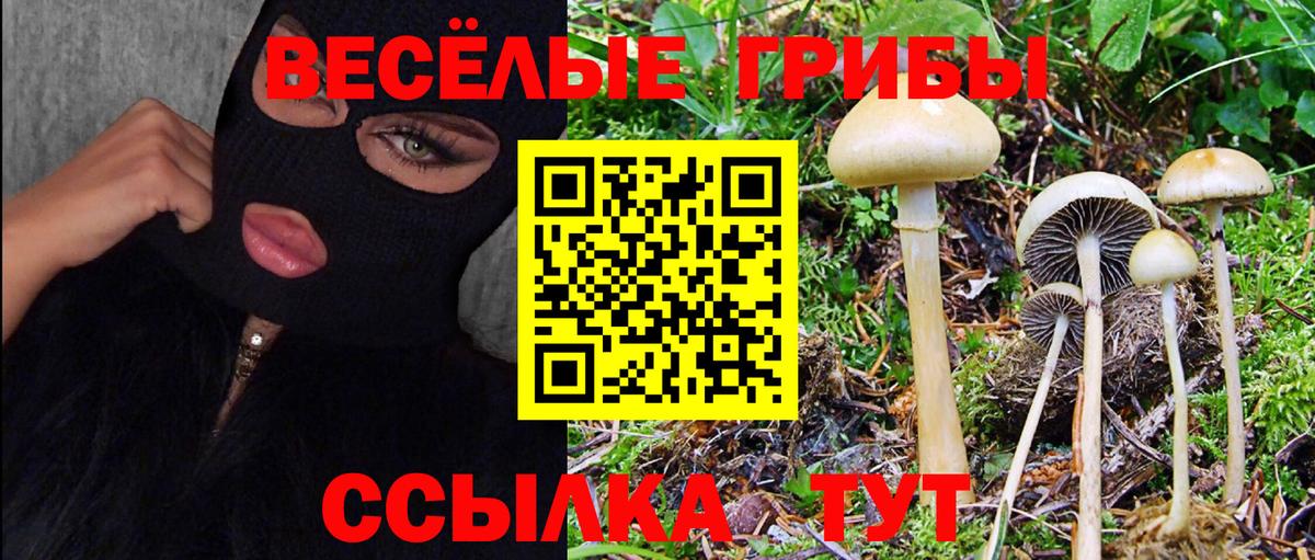 Галлюциногенные грибы Cubensis Отрадный