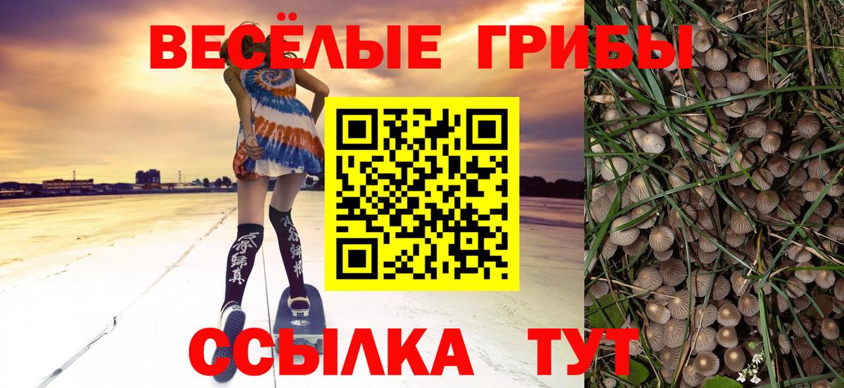 Галлюциногенные грибы MAGIC MUSHROOMS  Вход с VPN  Отрадный  Псилоцибиновые грибы ЛСД 